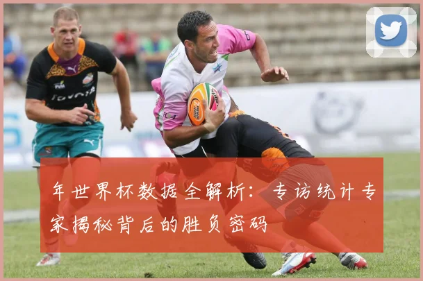年世界杯数据全解析：专访统计专家揭秘背后的胜负密码