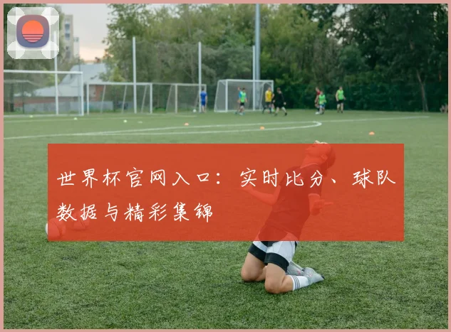世界杯官网入口：实时比分、球队数据与精彩集锦