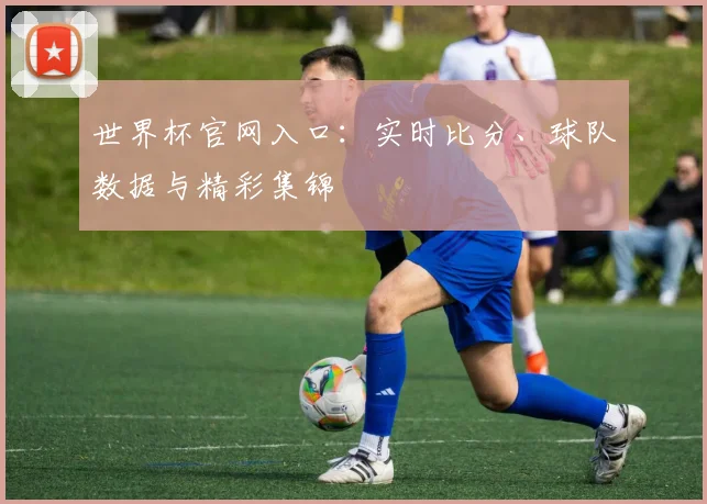 世界杯官网入口：实时比分、球队数据与精彩集锦