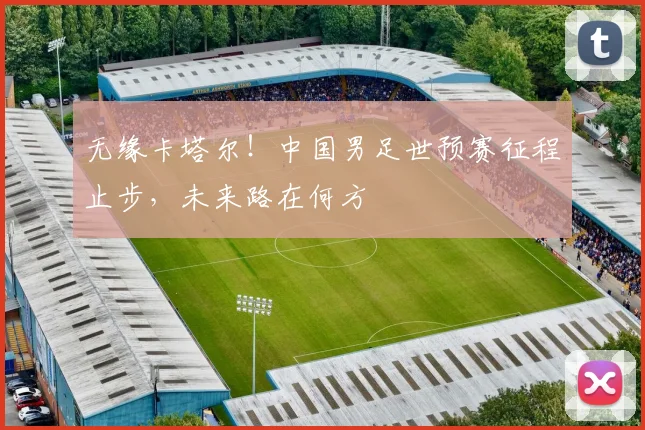 无缘卡塔尔！中国男足世预赛征程止步，未来路在何方
