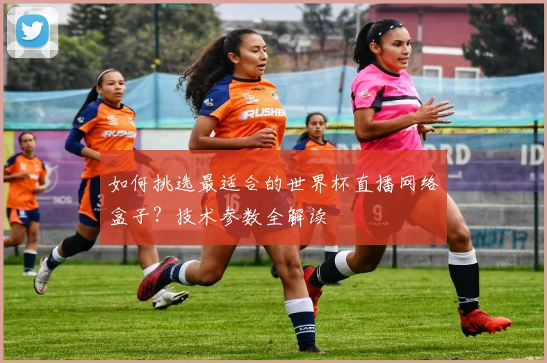如何挑选最适合的世界杯直播网络盒子？技术参数全解读