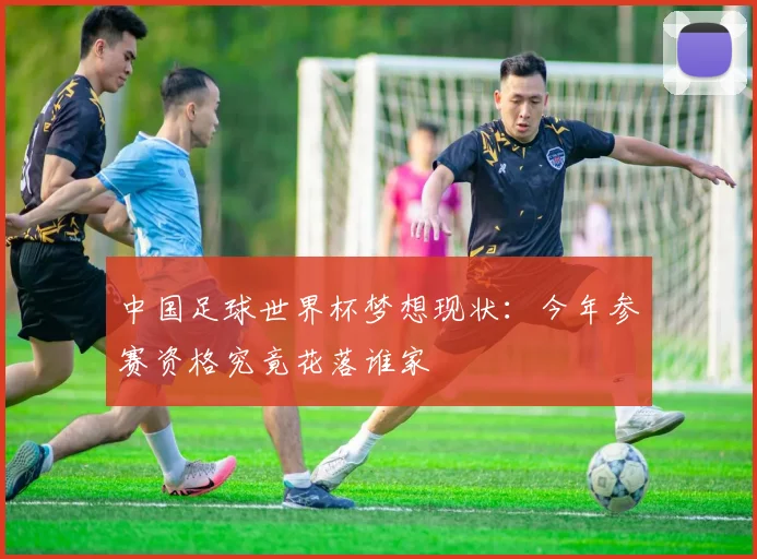中国足球世界杯梦想现状：今年参赛资格究竟花落谁家