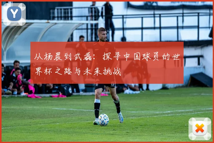从杨晨到武磊：探寻中国球员的世界杯之路与未来挑战