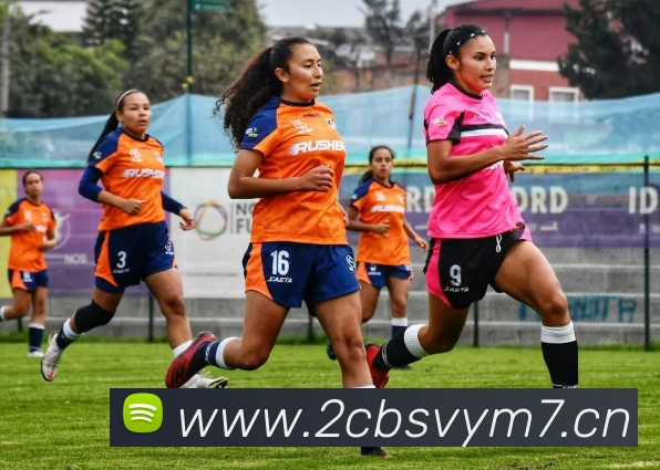 开云app入口注册品牌故事