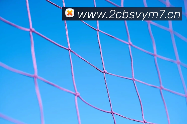 开云app入口注册服务体系